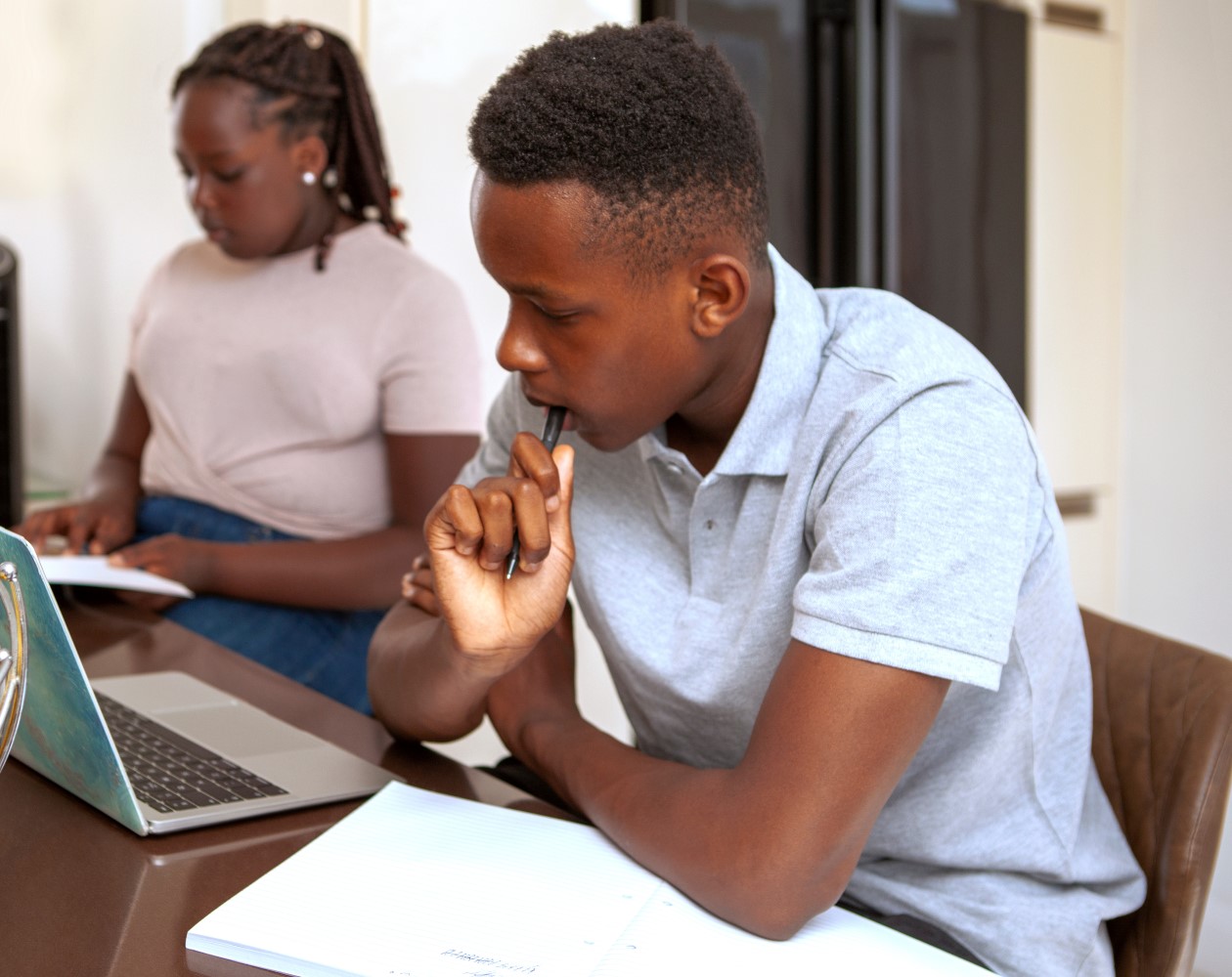 Two siblings studying