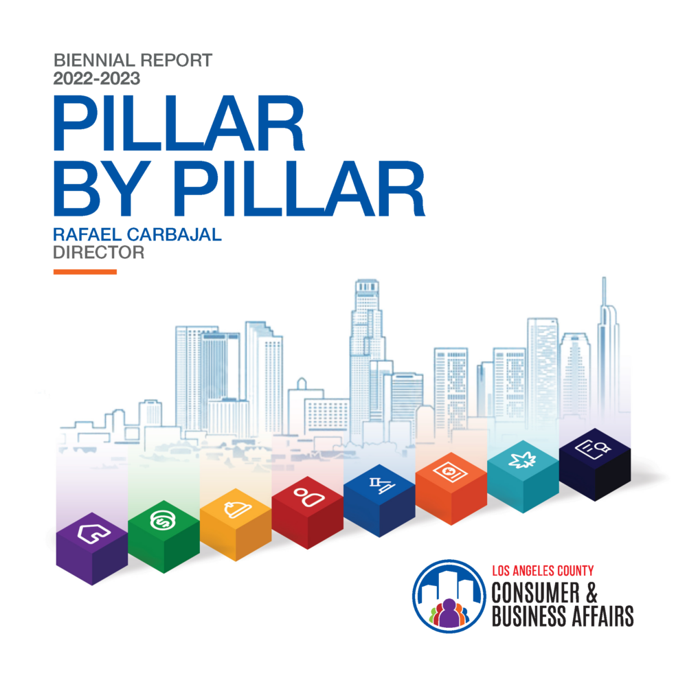 DCBA Biennial Report 2022-2023 Pillar By Pillar