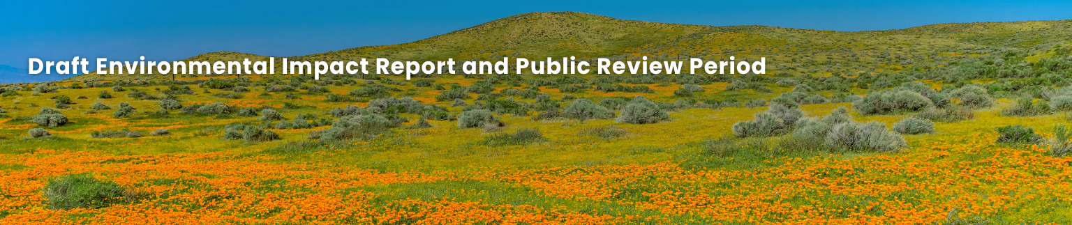 Draft Environmental Impact Report and Public Review Period Draft Environmental Impact Report and Public Review Period